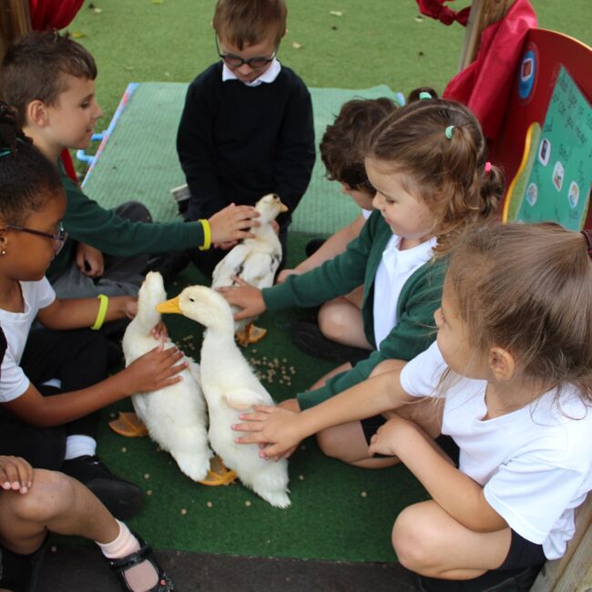 This week at Gray's Farm - W/B 29th September