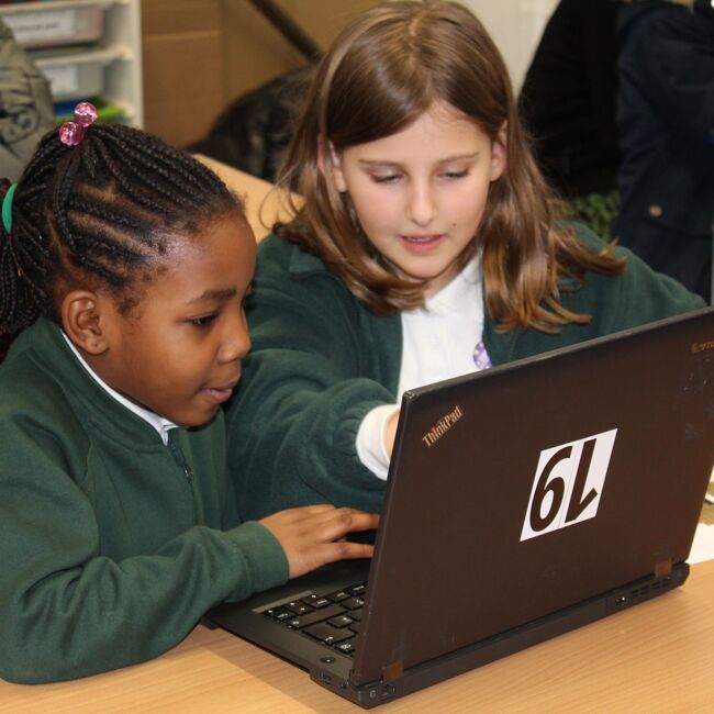 This week at Gray's Farm - W/B 17th November