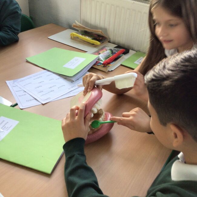 This week at Gray's Farm - W/B 8th December