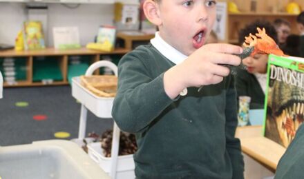 IMG 7191