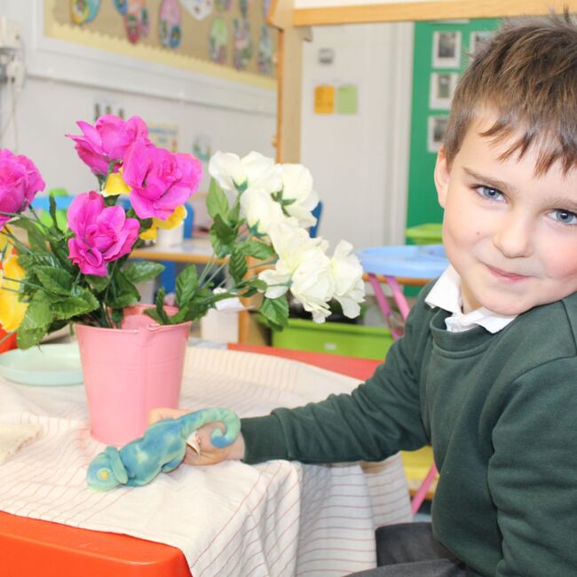 This week at Gray's Farm - W/B 16th June