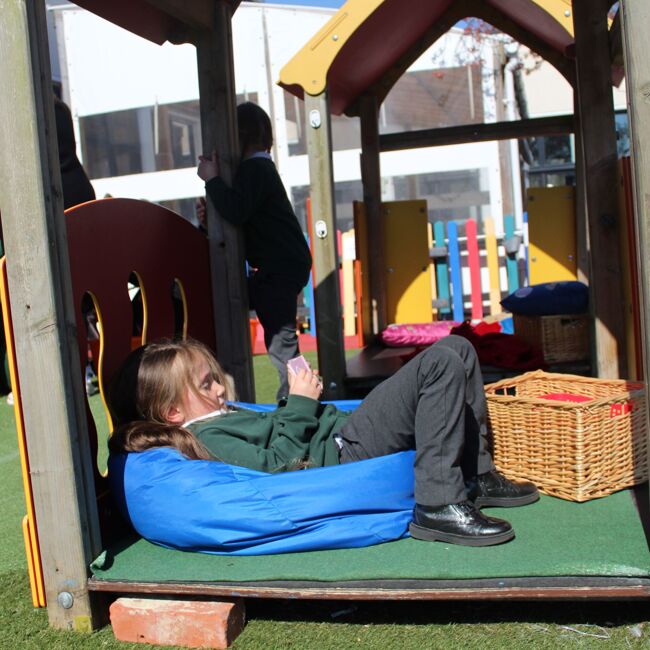 This week at Gray's Farm - W/B 3rd June