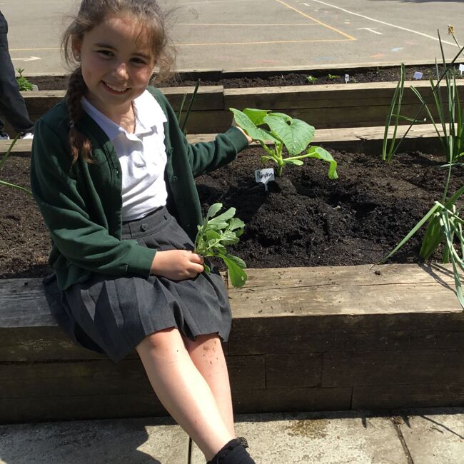 This week at Gray's Farm - W/B 5th May