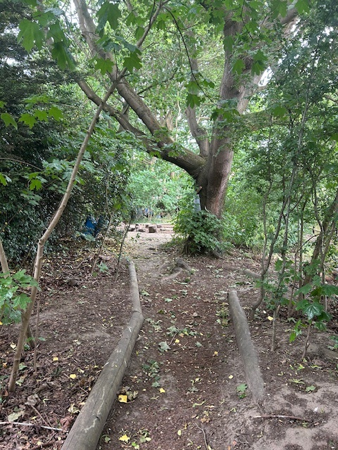 Forest School 1