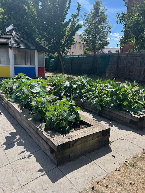 Allotment 2