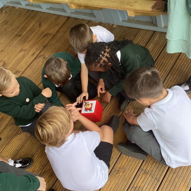 This week at Gray's Farm - W/B 3rd November